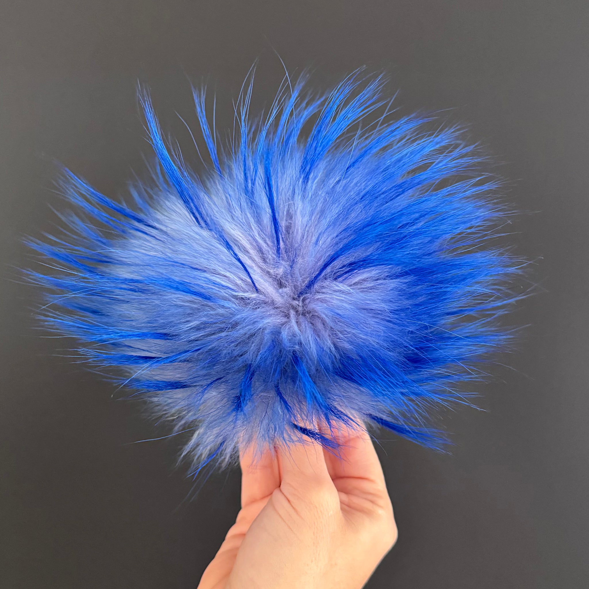 Pompon - Bleu-blanc