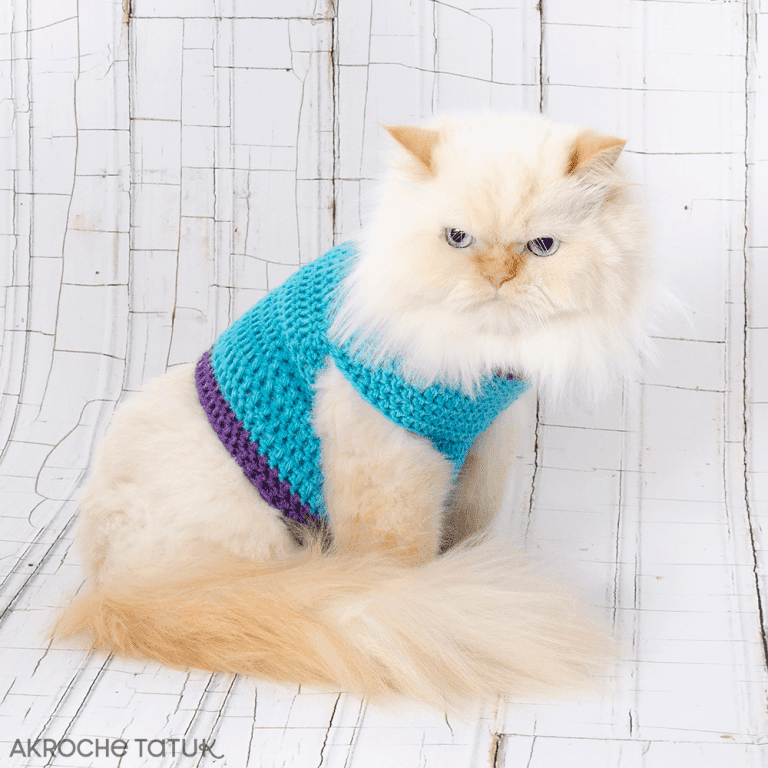 Patron au crochet - Chandail Minou